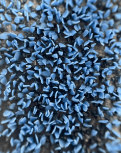 PSG Blue Ceramic Abrasive Pro